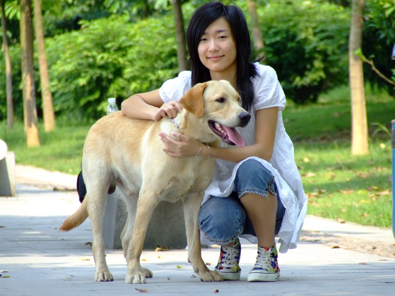 风中的绿叶的第一张照片--石家庄相亲服务中心