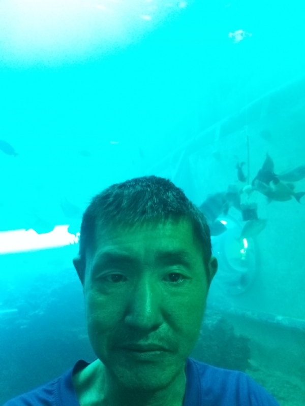 陸戰隊的第一张照片--石家庄相亲服务中心