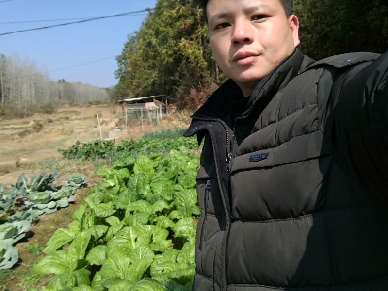 倔强的驴的第一张照片--石家庄相亲服务中心