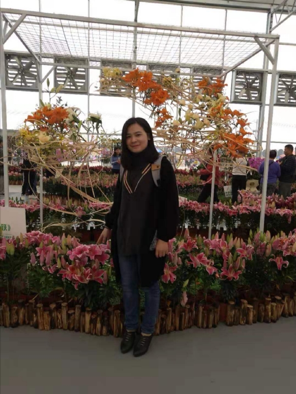 紫苏的第一张照片--石家庄相亲服务中心