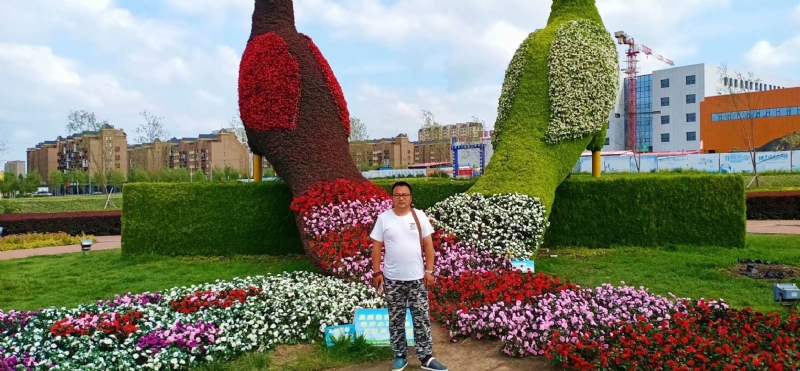 尘埃的第一张照片--石家庄相亲服务中心