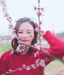 小桌子的第一张照片--石家庄相亲服务中心