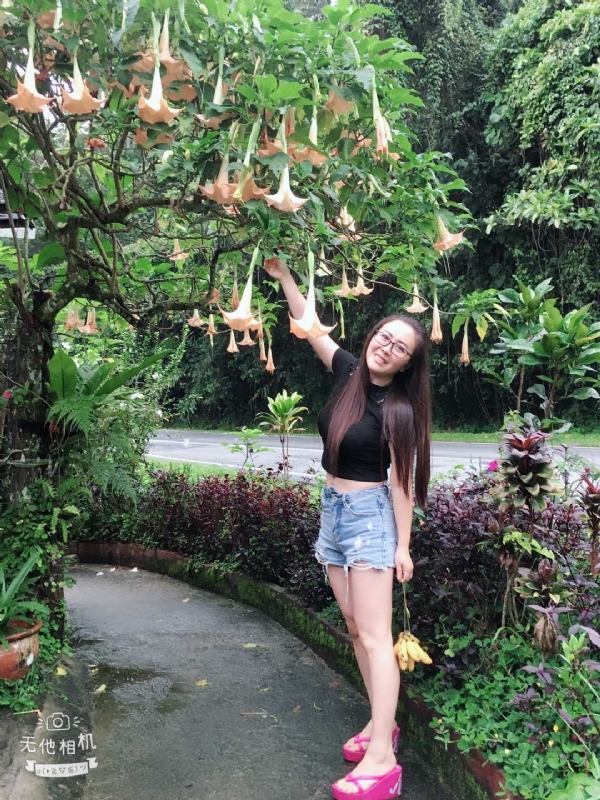 离异单身无子的第二张照片--石家庄相亲服务中心