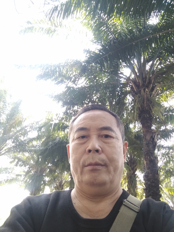 重振雄风的第二张照片--石家庄相亲服务中心