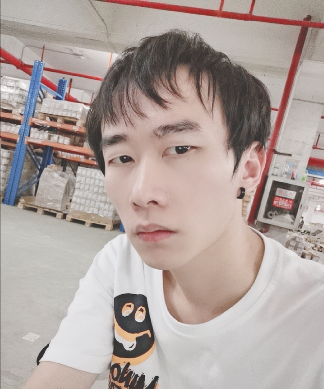 巷子里的猫的第一张照片--石家庄相亲服务中心