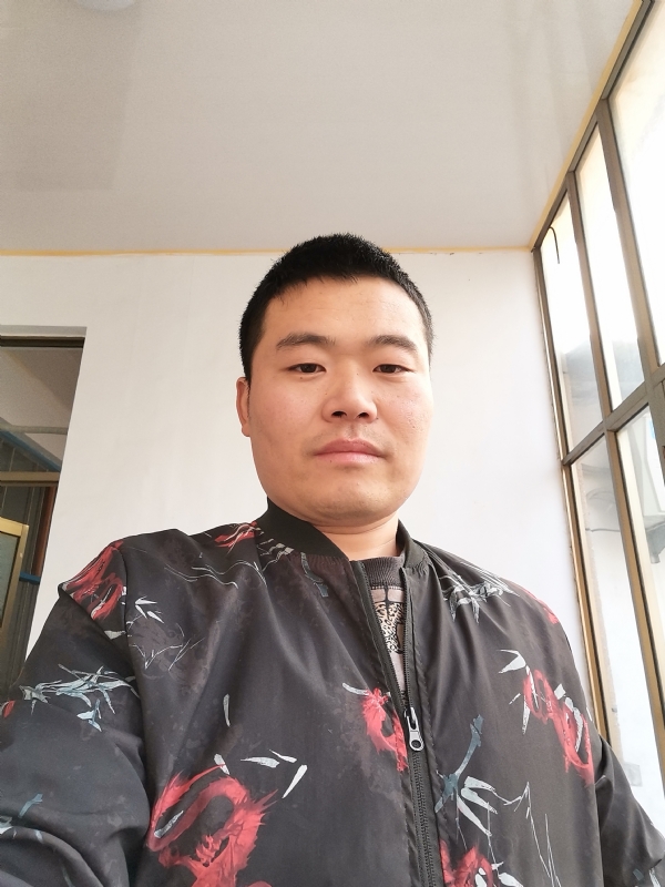 会飞的猪的第一张照片--石家庄相亲服务中心