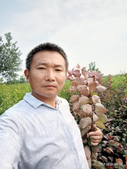 孩子爸的第一张照片--石家庄相亲服务中心