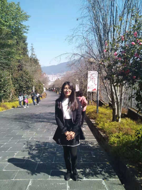 窗台上的桔梗的第一张照片--石家庄相亲服务中心