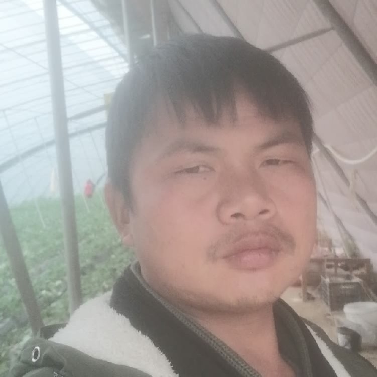 孤狼‘的第一张照片--石家庄相亲服务中心