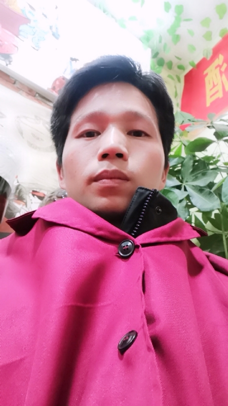 单身的林凡的第一张照片--石家庄相亲服务中心