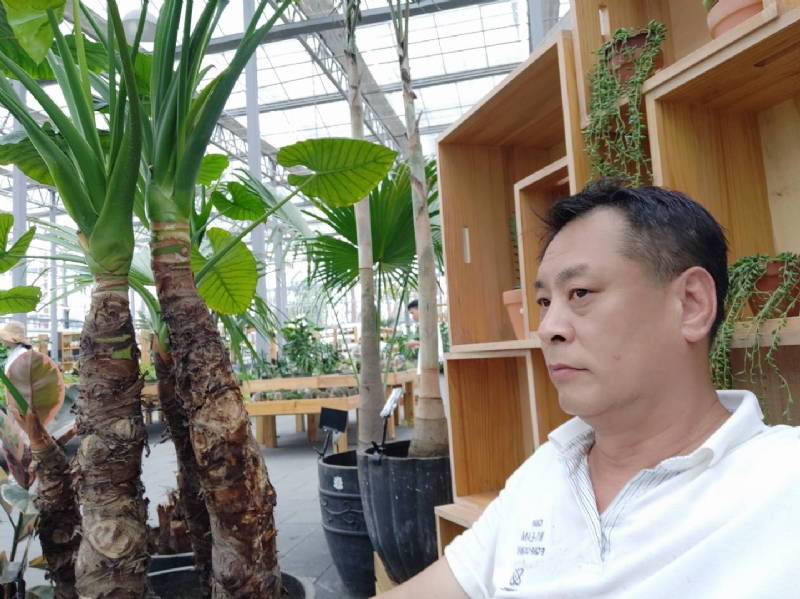 davidxy669988的第一张照片--石家庄相亲服务中心