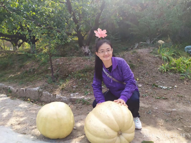 海绵宝宝的第一张照片--石家庄相亲服务中心