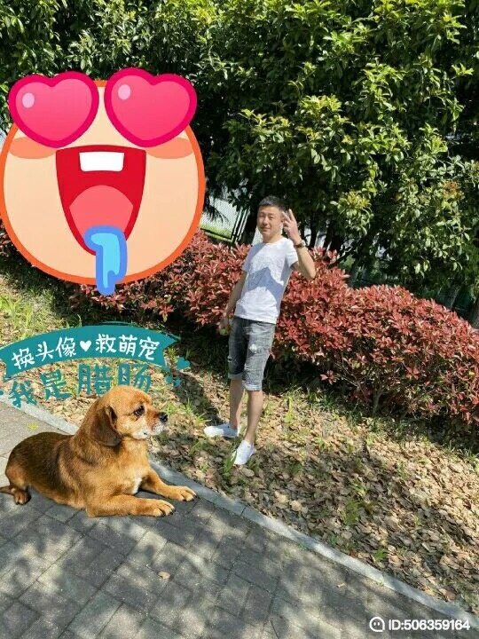 我若不坚强谁替我勇敢的第一张照片--石家庄相亲服务中心