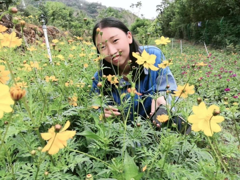 哈哈的第一张照片--石家庄相亲服务中心