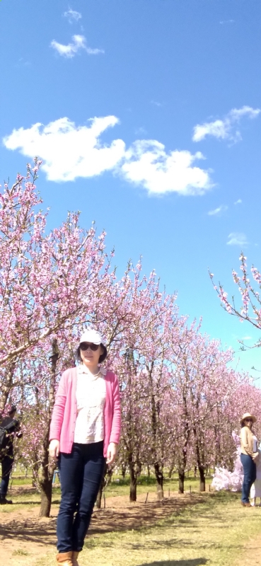 Grace的第二张照片--石家庄相亲服务中心