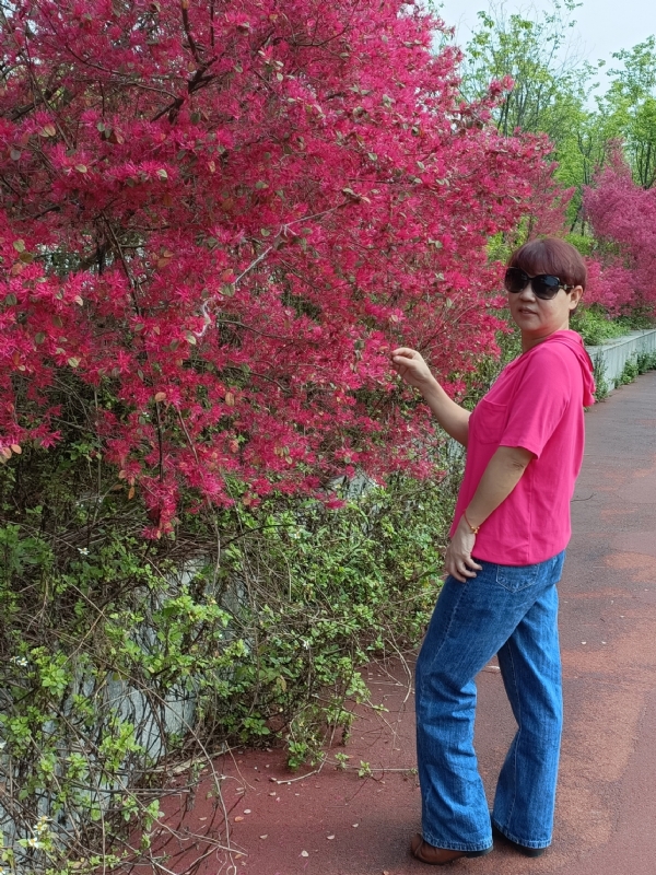 羊羊的第一张照片--石家庄相亲服务中心