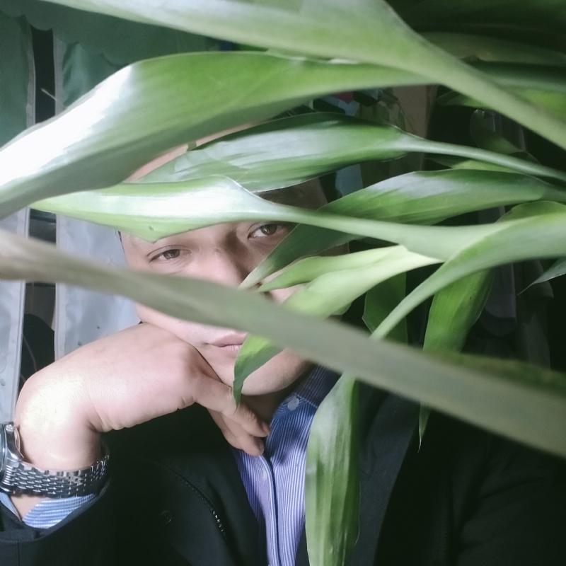 诸先生的第二张照片--石家庄相亲服务中心