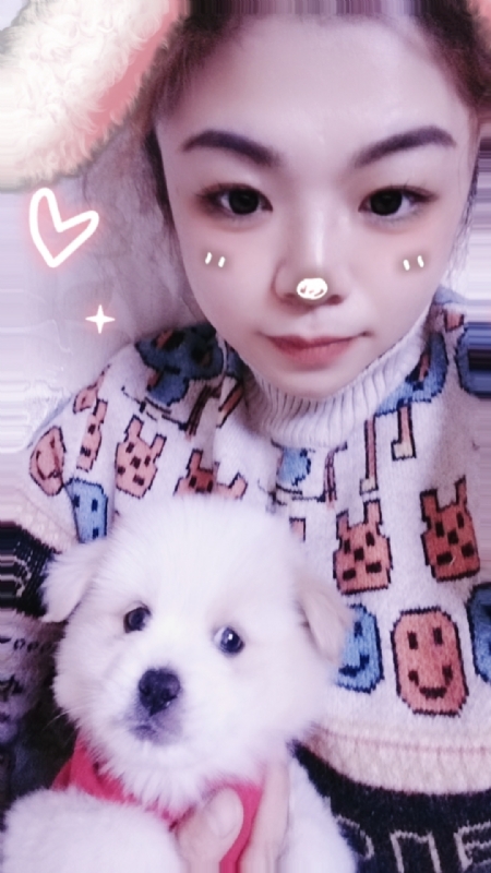 张莹的第一张照片--石家庄相亲服务中心