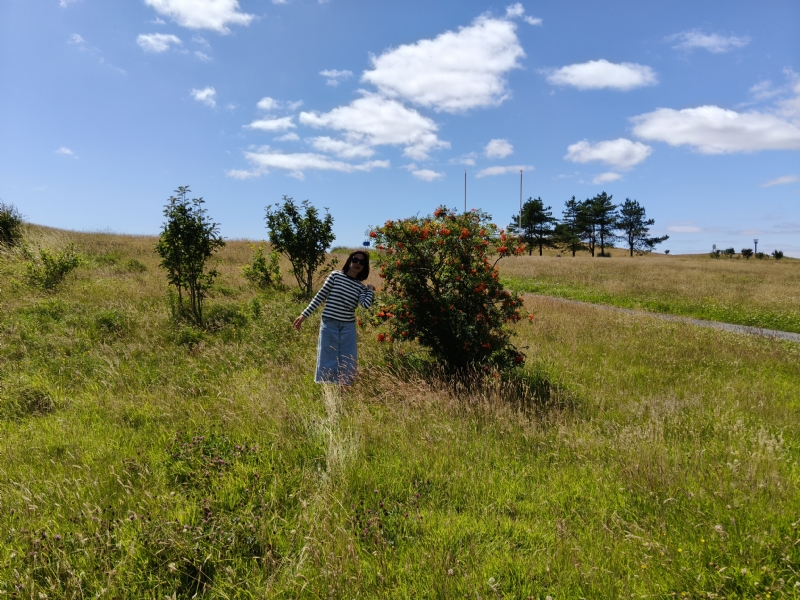 秋蝉的第一张照片--石家庄相亲服务中心