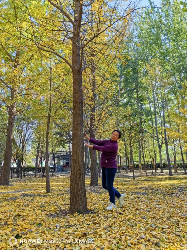 Shirley的第四张照片--石家庄相亲服务中心