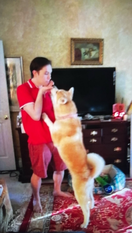 Leluch的第一张照片--石家庄相亲服务中心