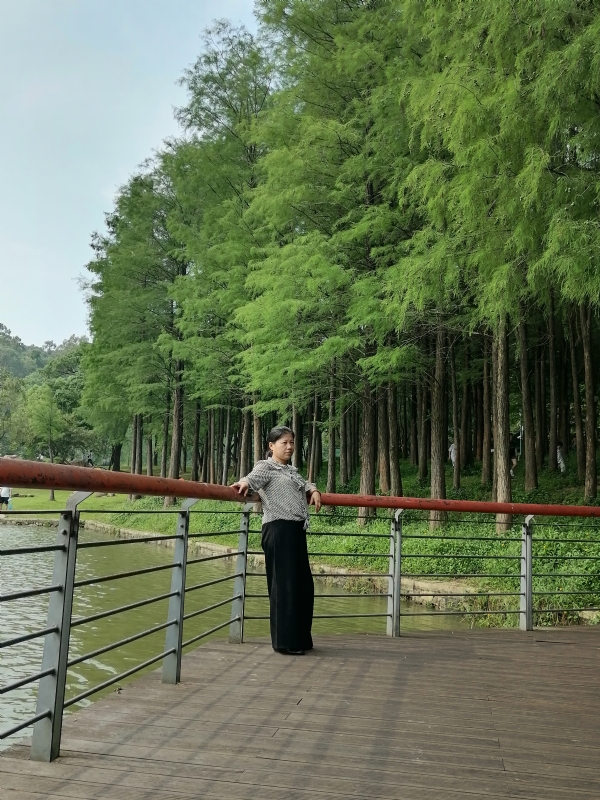 遗失的记忆的第二张照片--石家庄相亲服务中心