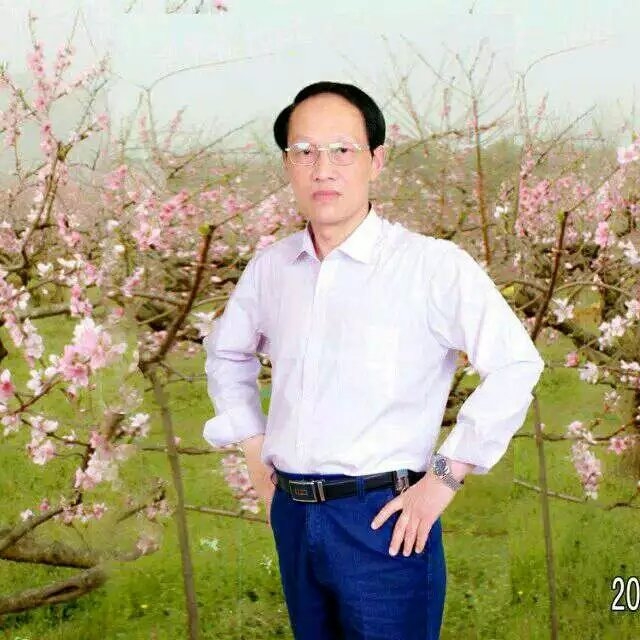 枫叶的第一张照片--石家庄相亲服务中心