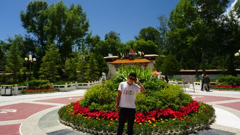 阿龙设计师的第四张照片--石家庄相亲服务中心