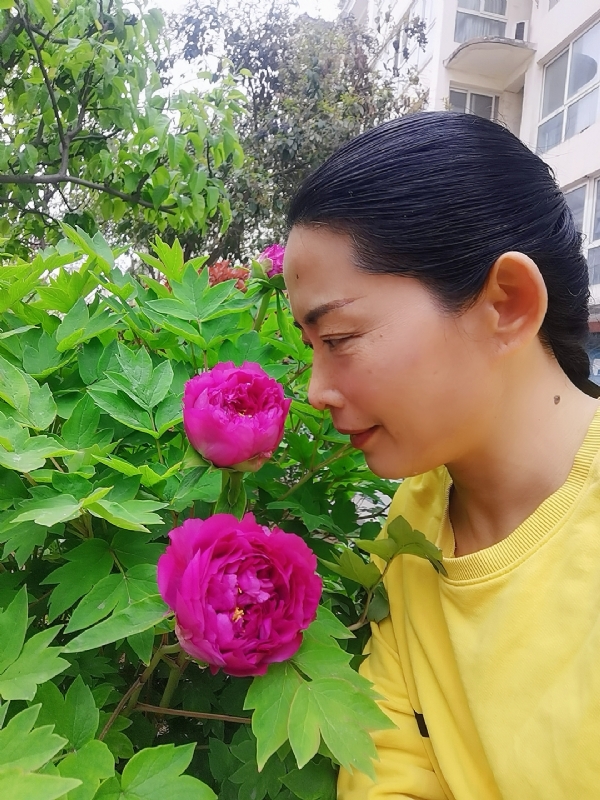 厚德载物的第一张照片--石家庄相亲服务中心