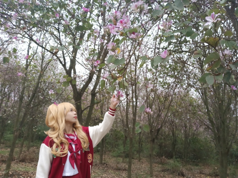 暮秋的第一张照片--石家庄相亲服务中心