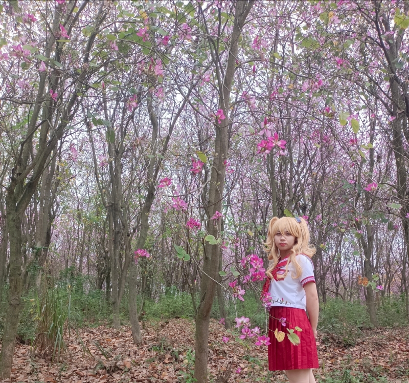 暮秋的第四张照片--石家庄相亲服务中心