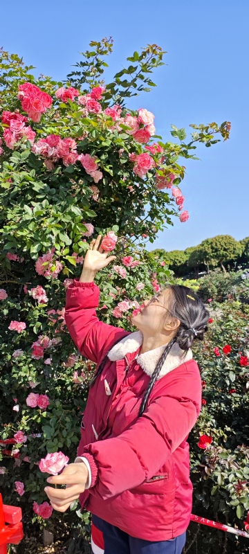 狗狗的第一张照片--石家庄相亲服务中心